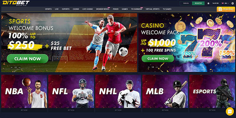 New bookmaker ditobet sports page